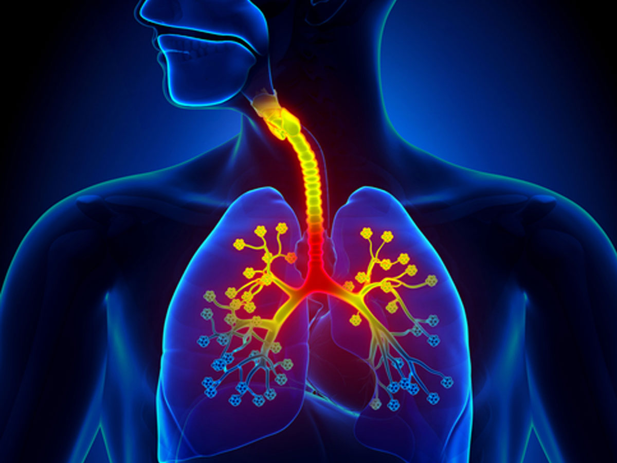 disorders of the respiratory system